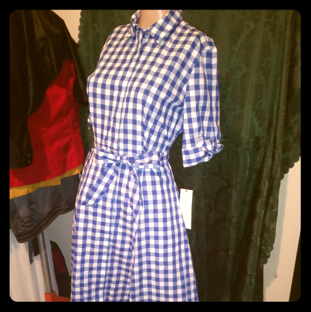 Calvin Klein Gingham  Dress (( Size 4 ))